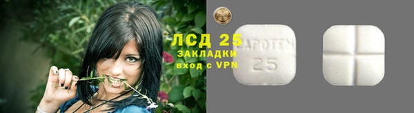 мяу мяу кристалл Корсаков