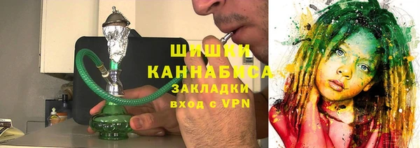 гидра Гатчина