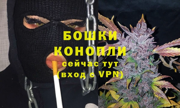 МДПВ Галич