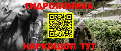 хмурый Жуковский