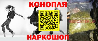 индика Заводоуковск