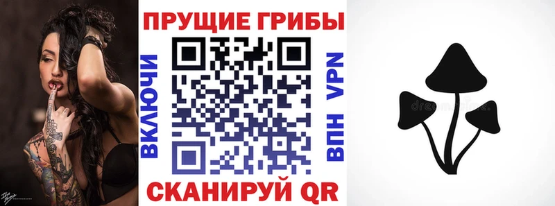Псилоцибиновые грибы мухоморы Клинцы