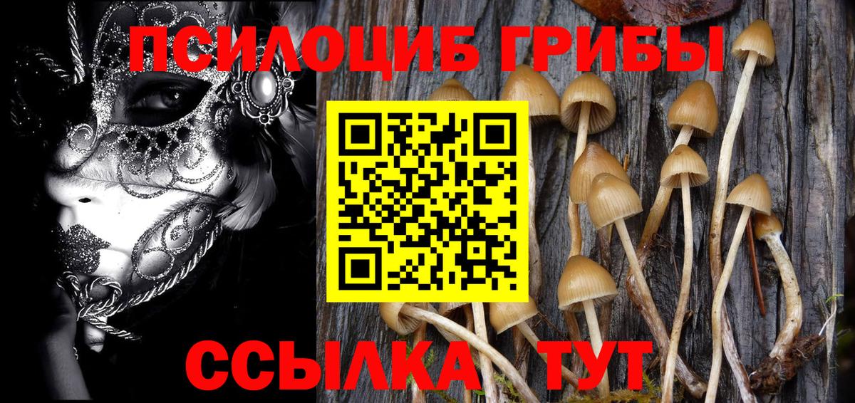 Клинцы  Псилоцибиновые грибы GOLDEN TEACHER  Вход с VPN  Галлюциногенные грибы Cubensis 