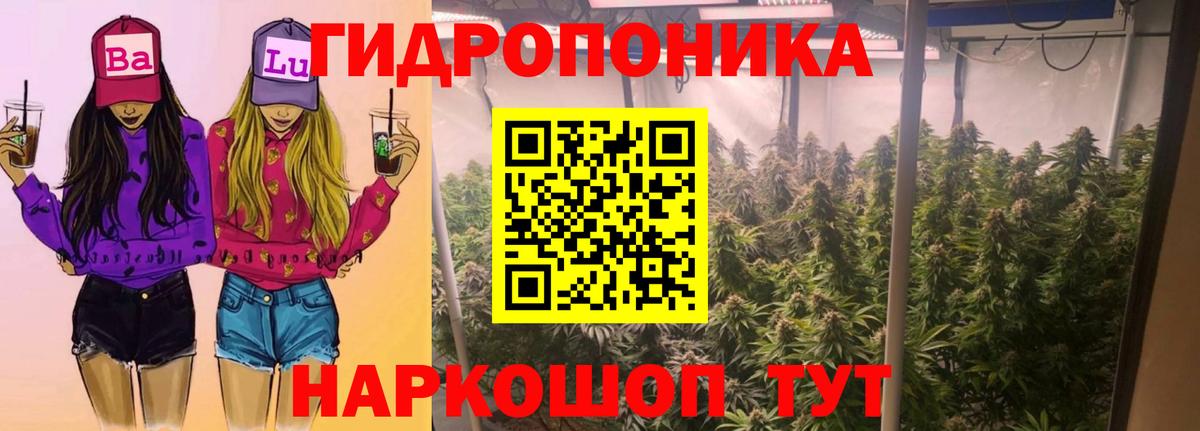 Клинцы  Марихуана LSD WEED  Бошки марихуана индика  Бошки марихуана MAZAR  Вход с VPN  Марихуана марихуана 